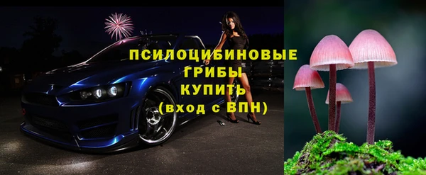 метадон Богданович