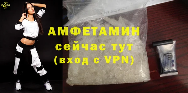 метадон Богданович