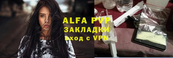 метадон Богданович