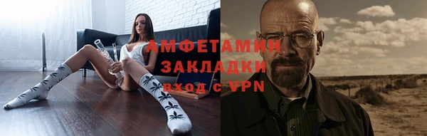 метадон Богданович