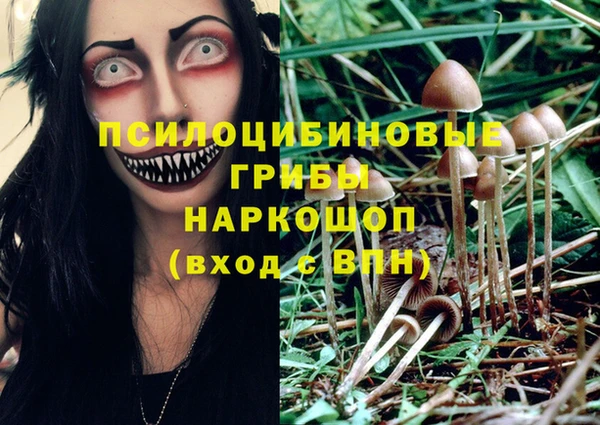 прущая мука Богородск