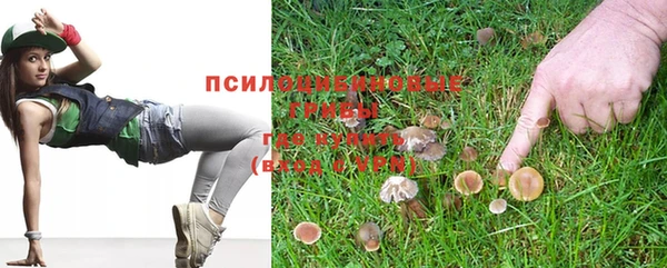 прущая мука Богородск