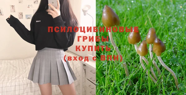 каннабис Богородицк