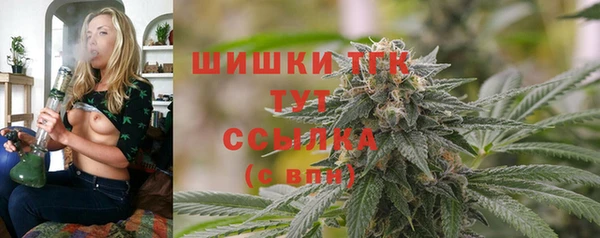 метадон Богданович
