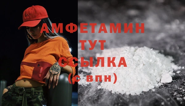 метадон Богданович