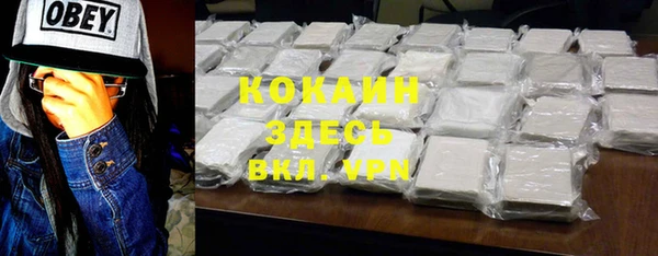 метадон Богданович