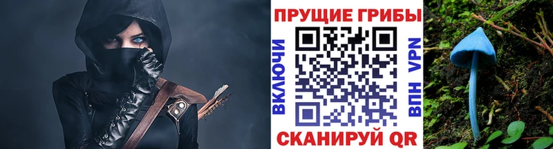 Галлюциногенные грибы Magic Shrooms  ссылка на мегу зеркало  Клинцы 